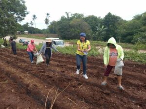 Oro launches corn farming training for Indahag planters