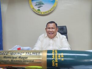 Talines calls for power upgrades
