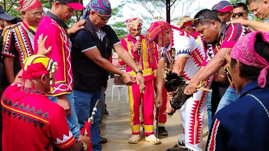 Indigenous ritual seals peace between Lumad, former rebels, soldiers