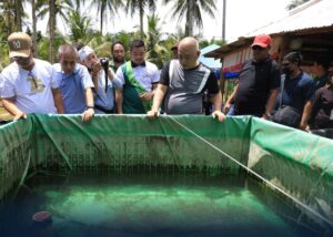Tilapia hatchery launched in Oro