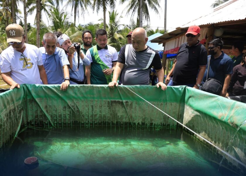 Tilapia hatchery launched in Oro