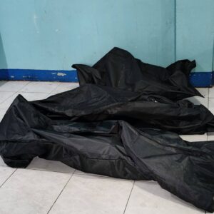 Three killed in Mega Heights fire
