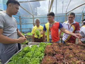 Inmates grow hope in Iligan jail eco hub