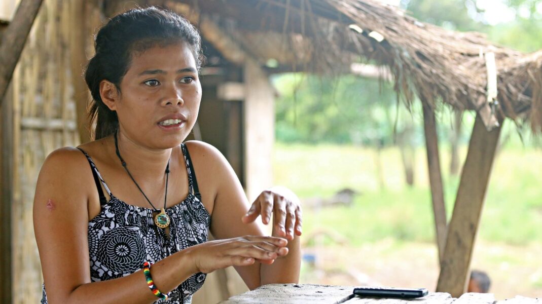 Climate advocates question Del Monte's role in land disputes in Normin