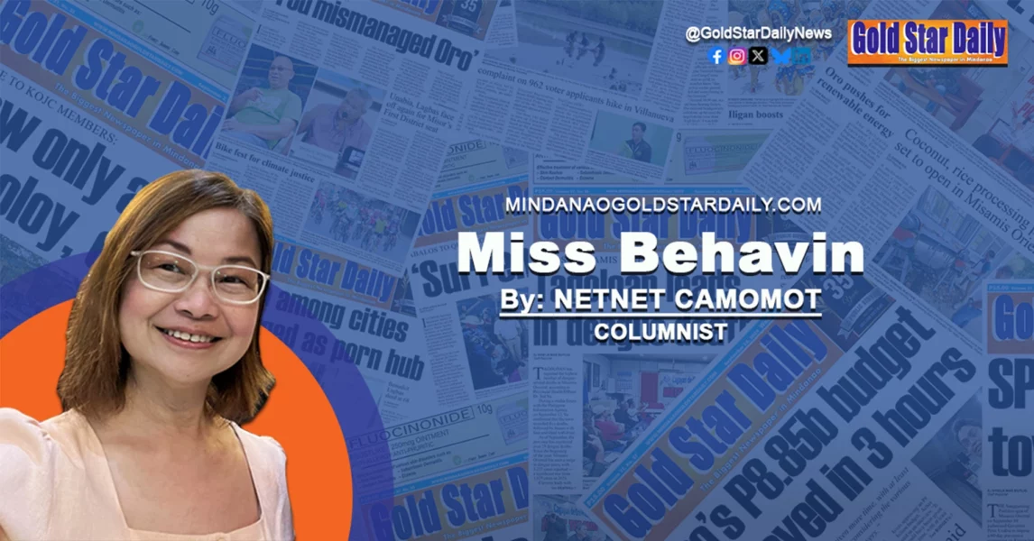 Netnet Camomot, Columnist opinion artwork