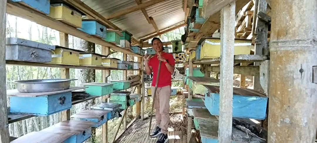 A small bee farm integrated into the diversified cropping system at Uma ni Candi, Bukidnon.