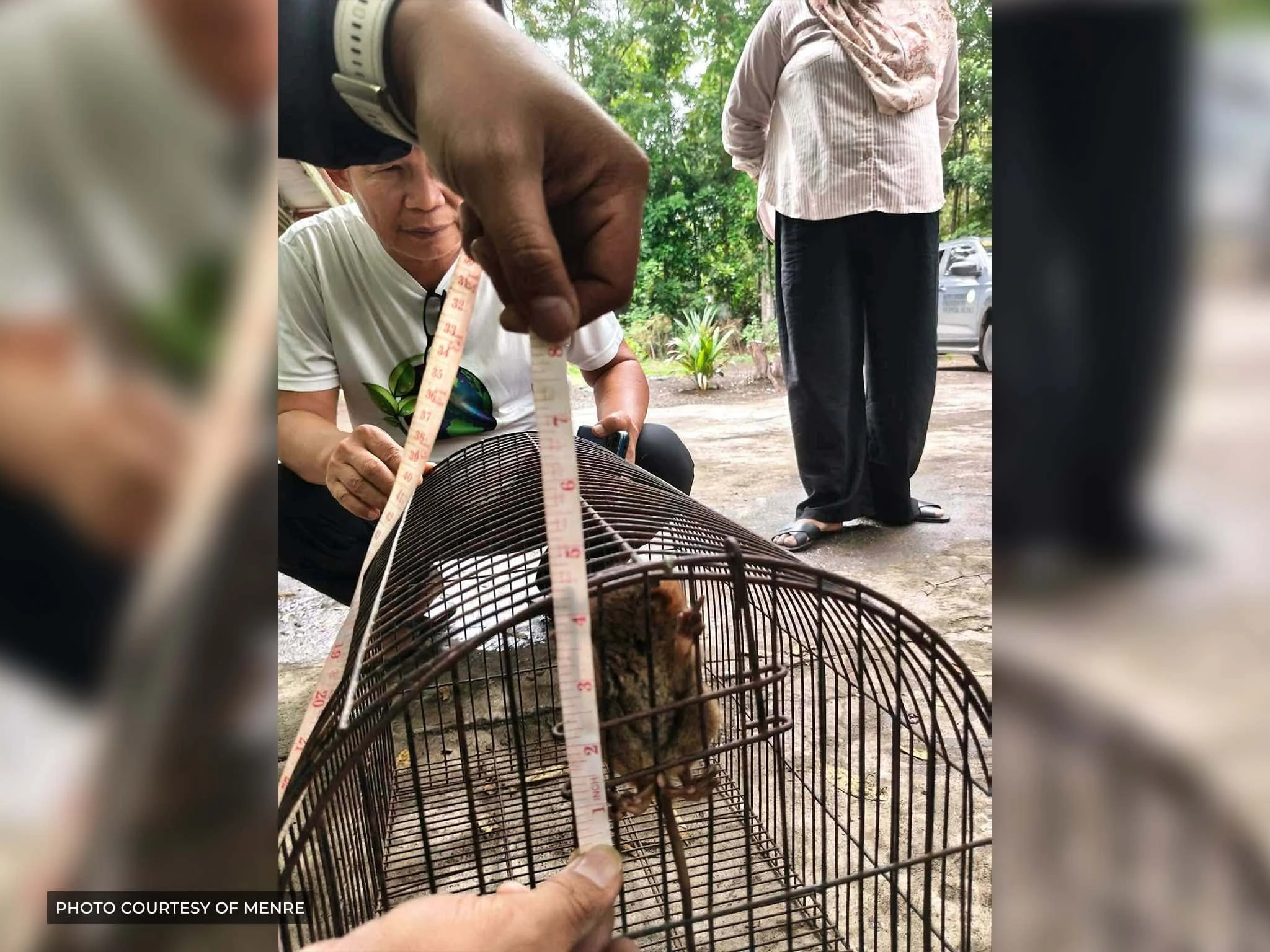 Ecosystems specialists and local authorities hold and assess a juvenile male Mindanao tarsier before releasing it in Lanao del Sur.
