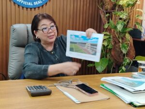 Juliette unveils plan to rehabilitate Pelaez Sports Center