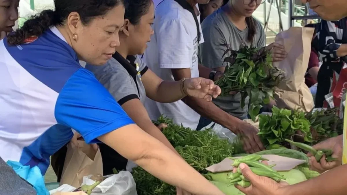 Consumers select fresh, affordable vegetables at a Kadiwa market outlet in Catarman, Camiguin, where local food initiatives help offset rising island transport and supply expenses. (PIA File Photo)
