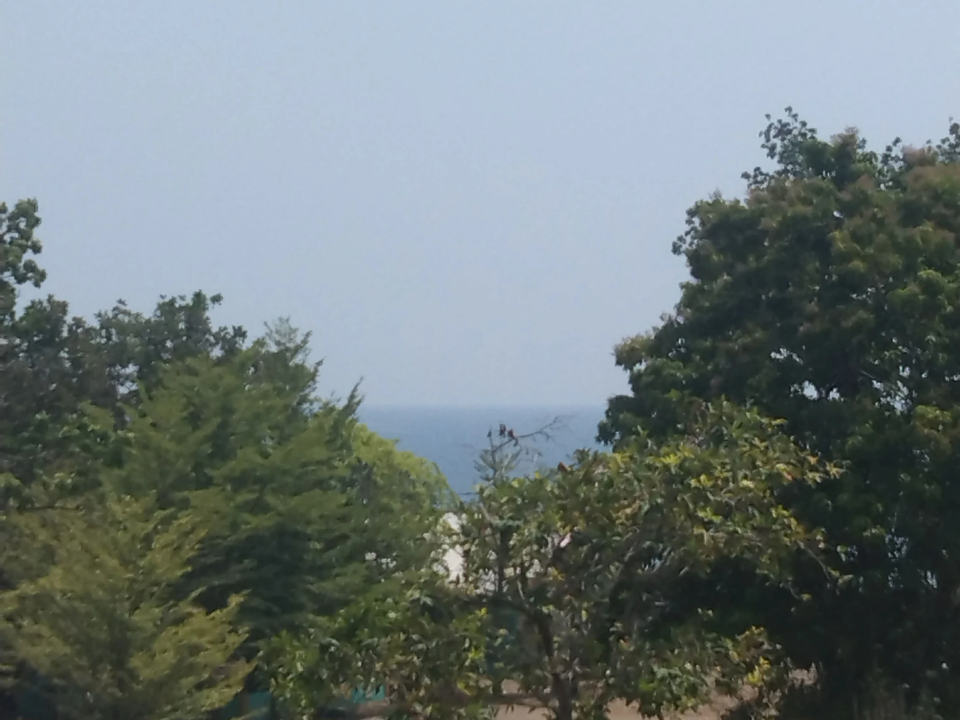HAZE IN MEDINA. A thick, milky haze obscures the skyline and horizon as seen from the Medina National Comprehensive High School (MNCHS) in Medina, Misamis Oriental, at around 10 a.m. on September 4, 2026, reducing visibility in the area amid the ongoing haze affecting parts of Mindanao. Photo courtessy of MNCHS Learner