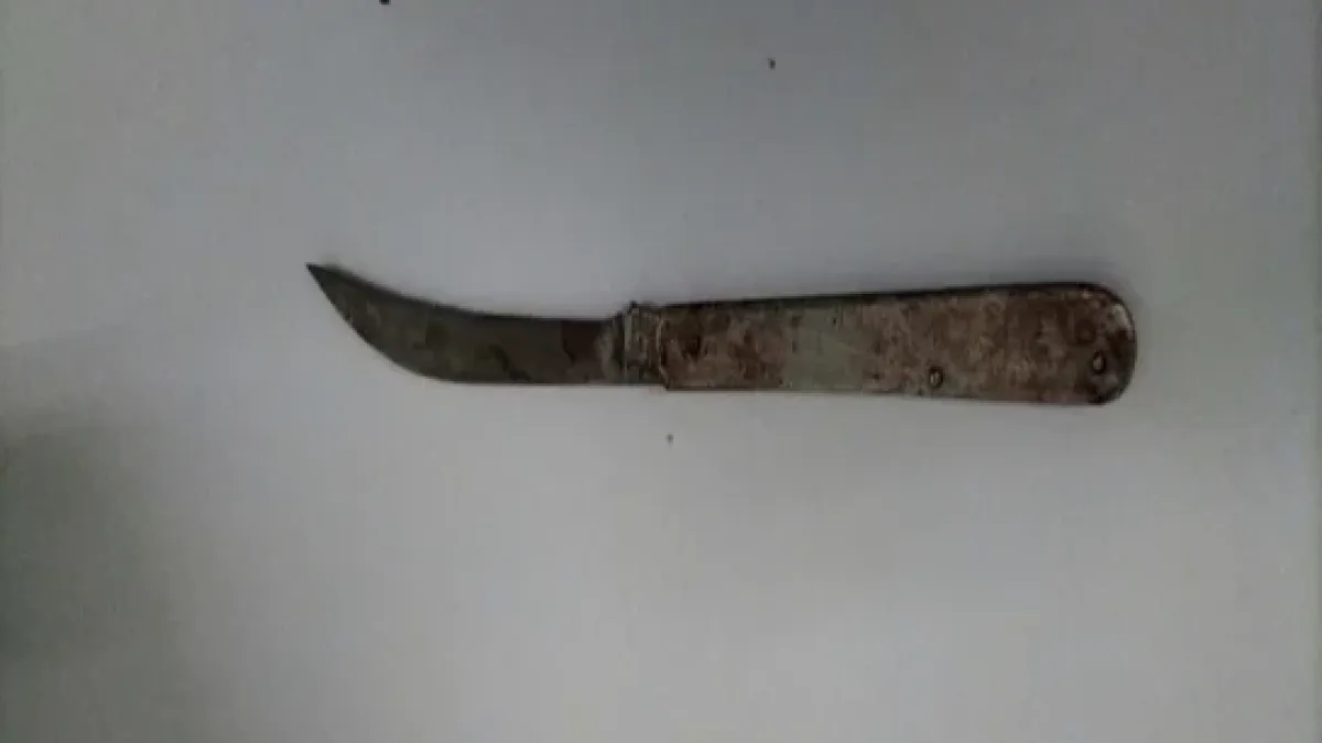 A small, curved bladed knife allegedly used in a stabbing incident lies flat against a plain surface following its surrender to police in Malaybalay City, Bukidnon.