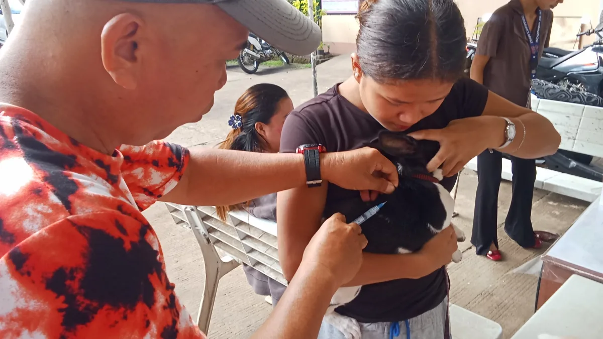 Pedro Arcay Jr., a dog rabies technician from the Gingoog City Veterinary Office, administers a rabies vaccine to a small black-and-white puppy held securely by its owner at the Gingoog City Hall Compound.